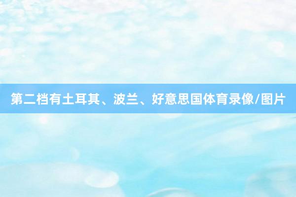 第二档有土耳其、波兰、好意思国体育录像/图片