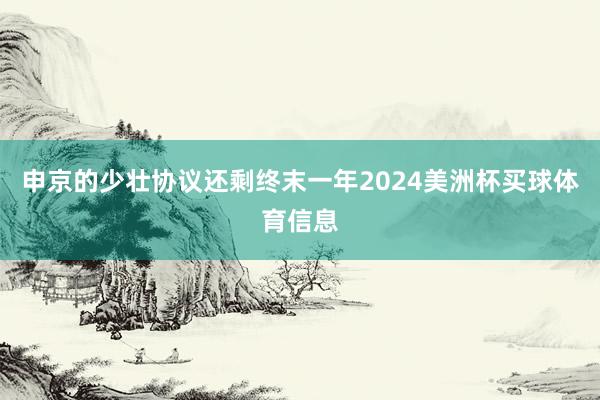 申京的少壮协议还剩终末一年2024美洲杯买球体育信息