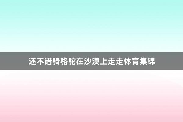 还不错骑骆驼在沙漠上走走体育集锦