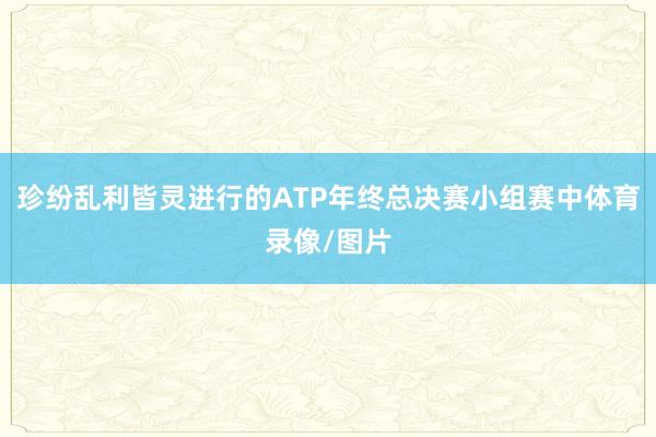 珍纷乱利皆灵进行的ATP年终总决赛小组赛中体育录像/图片