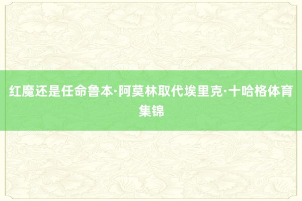 红魔还是任命鲁本·阿莫林取代埃里克·十哈格体育集锦