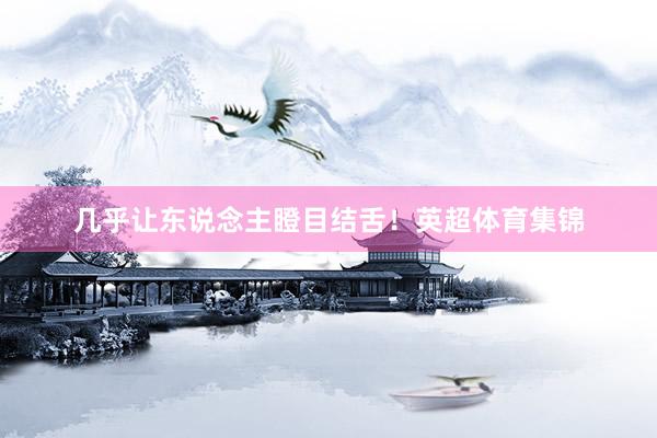 几乎让东说念主瞪目结舌！英超体育集锦