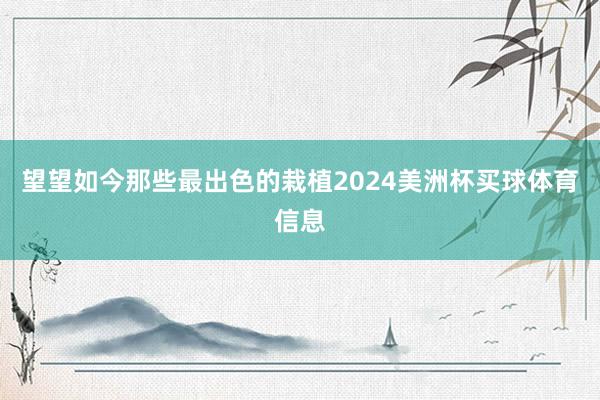 望望如今那些最出色的栽植2024美洲杯买球体育信息