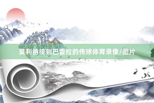 莫利纳接到巴雷拉的传球体育录像/图片